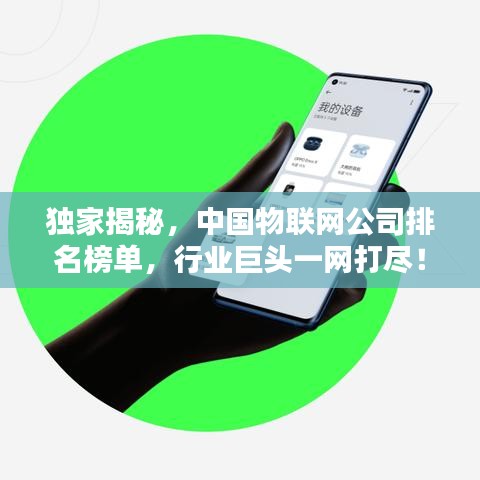 独家揭秘,中国物联网公司排名榜单,行业巨头一网打尽!