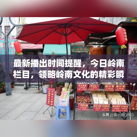 最新播出时间提醒,今日岭南栏目,领略岭南文化的精彩瞬间