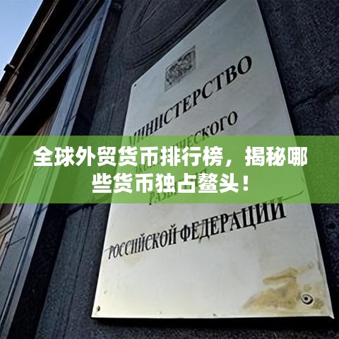 全球外贸货币排行榜,揭秘哪些货币独占鳌头!