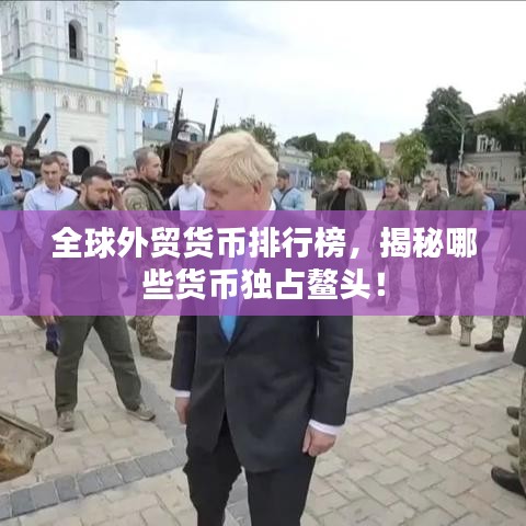 全球外贸货币排行榜,揭秘哪些货币独占鳌头!