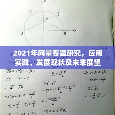 2021年向量专题研究，应用实践、发展现状及未来展望