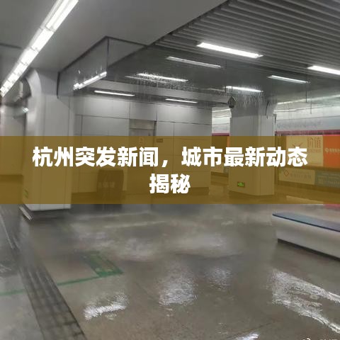 杭州突发新闻,城市最新动态揭秘
