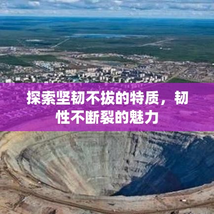 探索坚韧不拔的特质,韧性不断裂的魅力