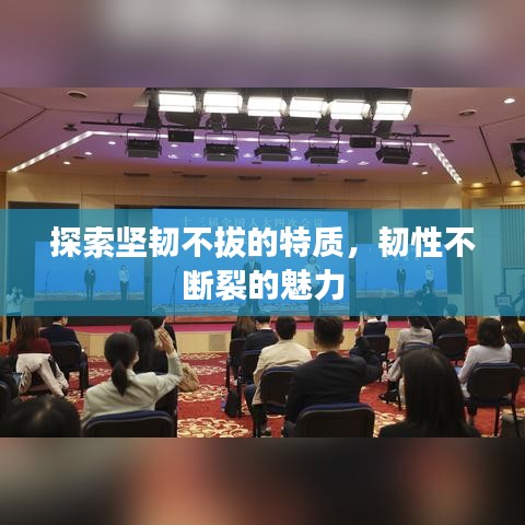 探索坚韧不拔的特质,韧性不断裂的魅力