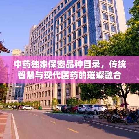 中药独家保密品种目录,传统智慧与现代医药的璀璨融合