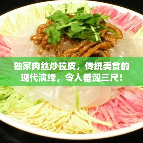 独家肉丝炒拉皮,传统美食的现代演绎,令人垂涎三尺!