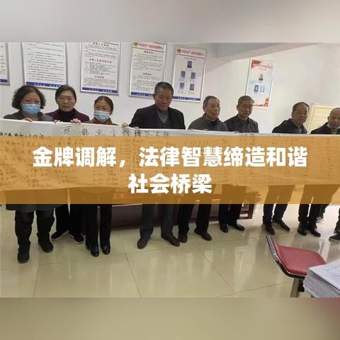 金牌调解,法律智慧缔造和谐社会桥梁