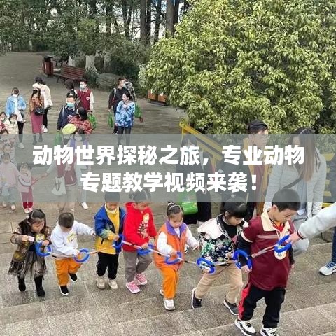 动物世界探秘之旅，专业动物专题教学视频来袭！