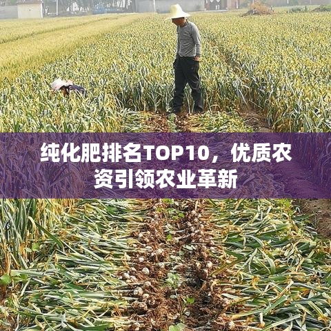 纯化肥排名TOP10,优质农资引领农业革新