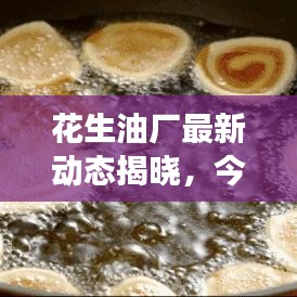 风驰电掣 第3页