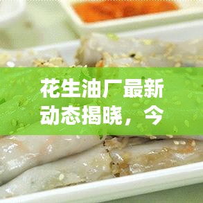 花生油厂最新动态揭晓,今日消息震撼来袭!
