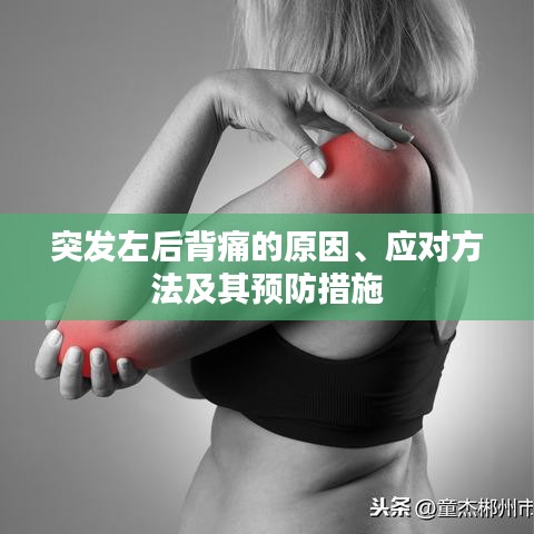 突发左后背痛的原因、应对方法及其预防措施