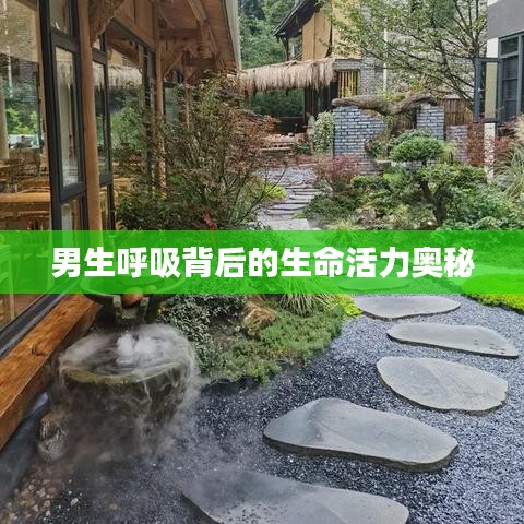 男生呼吸背后的生命活力奥秘