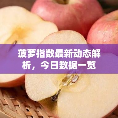 菠萝指数最新动态解析，今日数据一览