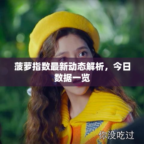 菠萝指数最新动态解析,今日数据一览