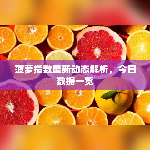 菠萝指数最新动态解析,今日数据一览
