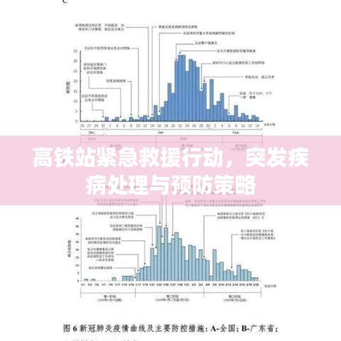 高铁站紧急救援行动,突发疾病处理与预防策略