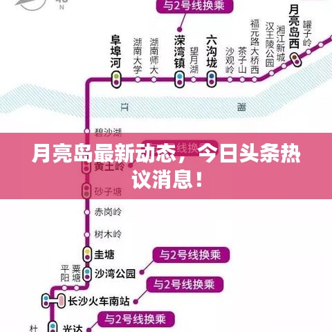 月亮岛最新动态，今日头条热议消息！