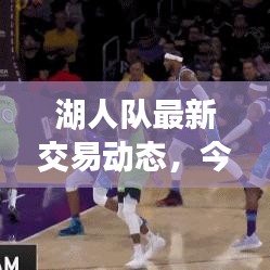 湖人队最新交易动态,今日重磅操作揭秘!