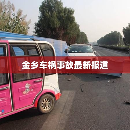 金乡车祸事故最新报道
