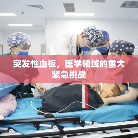 突发性血板,医学领域的重大紧急挑战