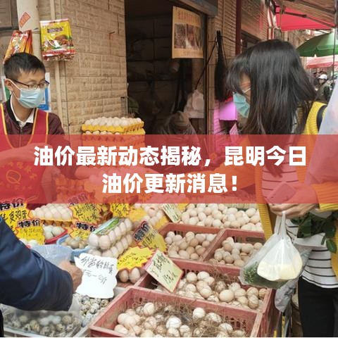 油价最新动态揭秘,昆明今日油价更新消息!