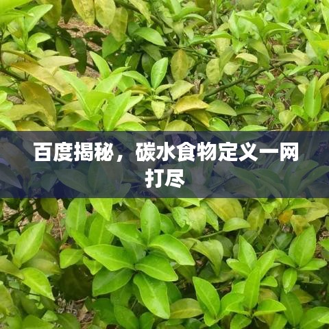 百度揭秘,碳水食物定义一网打尽