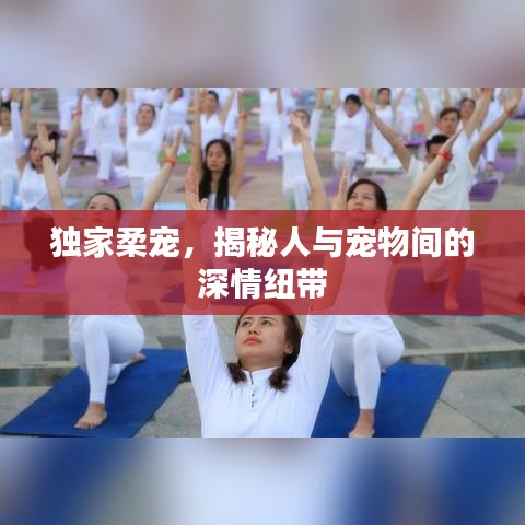 独家柔宠,揭秘人与宠物间的深情纽带