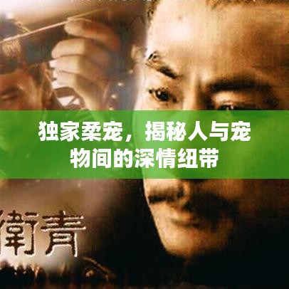 独家柔宠,揭秘人与宠物间的深情纽带