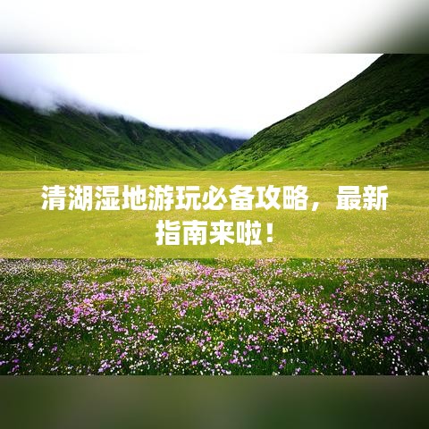 清湖湿地游玩必备攻略，最新指南来啦！