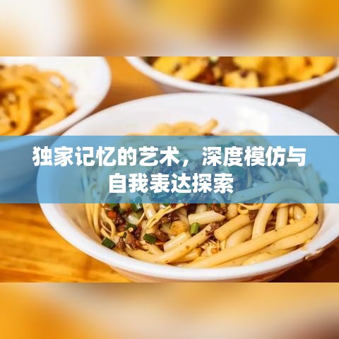 独家记忆的艺术，深度模仿与自我表达探索