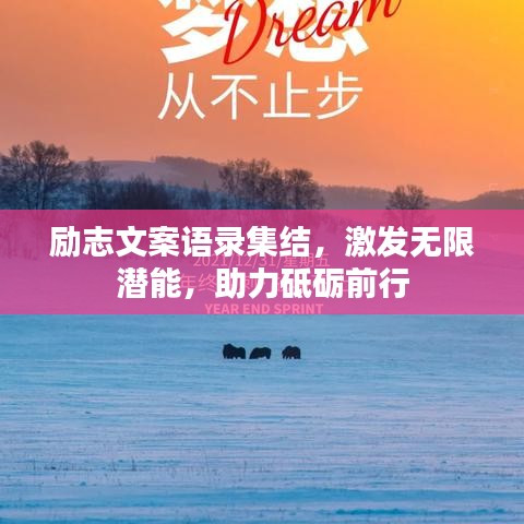 持之以恒 第2页