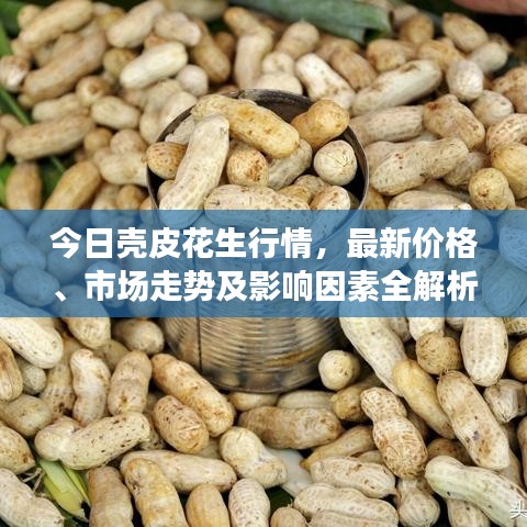 今日壳皮花生行情，最新价格、市场走势及影响因素全解析