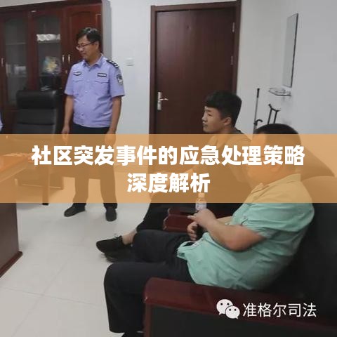 社区突发事件的应急处理策略深度解析