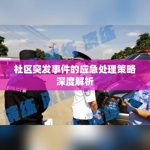 社区突发事件的应急处理策略深度解析