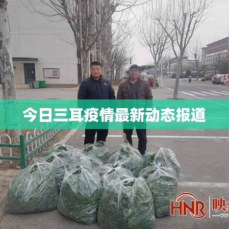 今日三耳疫情最新动态报道
