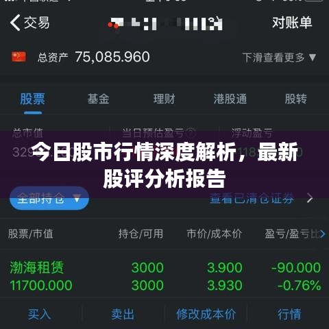 今日股市行情深度解析,最新股评分析报告