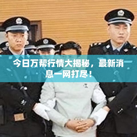 今日万帮行情大揭秘,最新消息一网打尽!