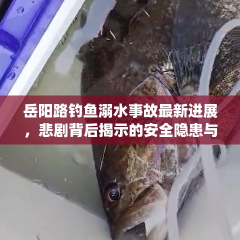 岳阳路钓鱼溺水事故最新进展,悲剧背后揭示的安全隐患与救援行动