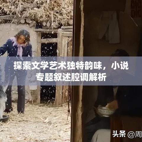 探索文学艺术独特韵味,小说专题叙述腔调解析
