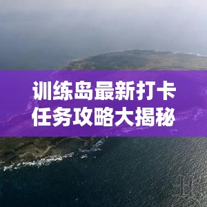 训练岛最新打卡任务攻略大揭秘！