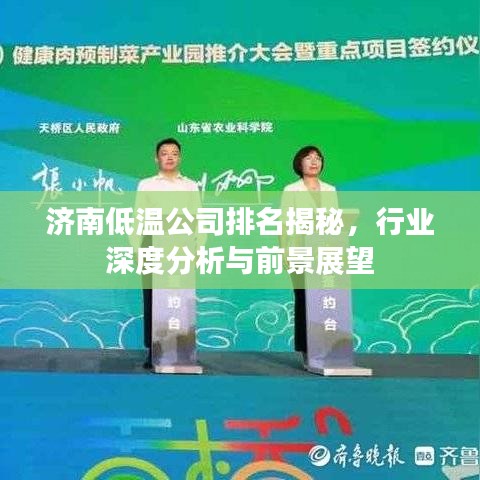 济南低温公司排名揭秘,行业深度分析与前景展望