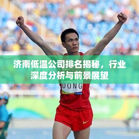 济南低温公司排名揭秘,行业深度分析与前景展望