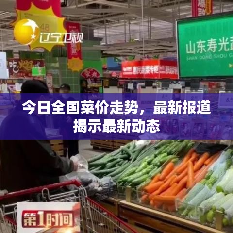 今日全国菜价走势,最新报道揭示最新动态