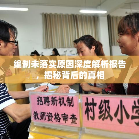 编制未落实原因深度解析报告,揭秘背后的真相