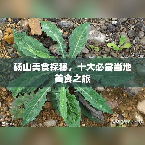 砀山美食探秘,十大必尝当地美食之旅