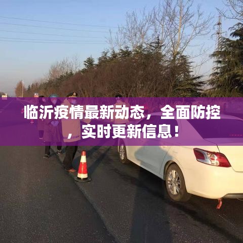 临沂疫情最新动态,全面防控,实时更新信息!