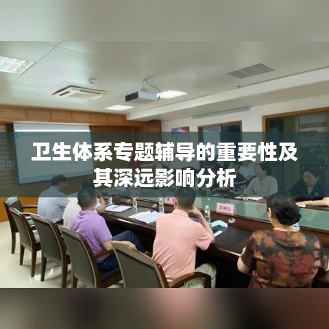 卫生体系专题辅导的重要性及其深远影响分析