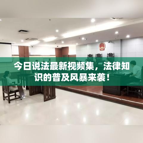 今日说法最新视频集，法律知识的普及风暴来袭！