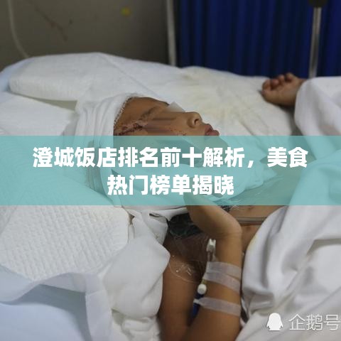 澄城饭店排名前十解析,美食热门榜单揭晓